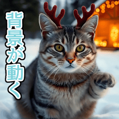 effect ameshow winter