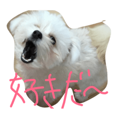Spicy dog..