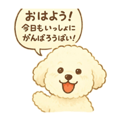 Hakatakko Bichon