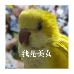 丁丁～～～～～