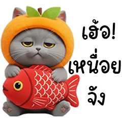 ORANCE KARAT CAT LIVE FRUIT SEASON DAYS