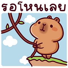 แบมบี้ คาปิบาร่า V.19