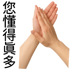 Miss A:您懂得真多