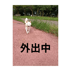 hana_20251001032842