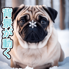 effect winter pagdog