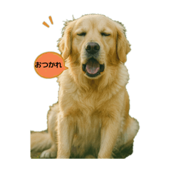 Animal Stamp Dog Edition 2