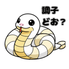Cheerful cute white snake