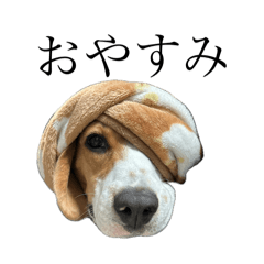 Charlie_20251002140940
