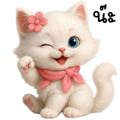 น้องแมวขาวสายน่ารัก