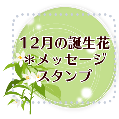 12月の誕生花＊メッセージスタンプ