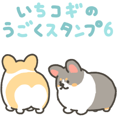 1corgi animation sticker 6