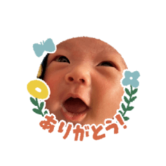 BEKOSUKE_20251002201907