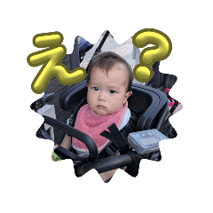 HOUSEdust_20251002202024