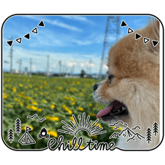 HANA_20251002202759