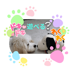 shoan_20251002183835