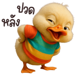 เป็ดน้อยกับเสื้อยืดหลากสีโอเวอร์ไซส์