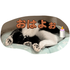 CANDY_20251002205112