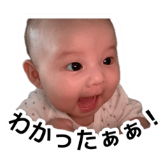 sakura_20251002185406