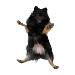 mitsuki_20251002212024