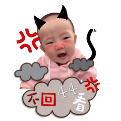 張寶包日常