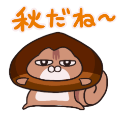 Autumn Chipmunk Animated Stickers