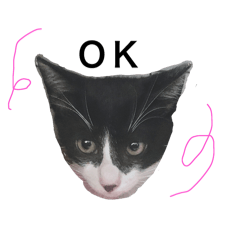 nyachan_20251002141913