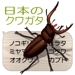 集まれ！日本のクワガタ２