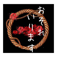 はるかの花束　野の花26No2