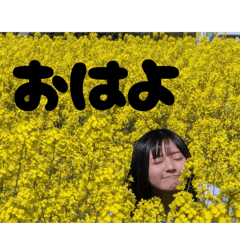 HACHI_20251002164855