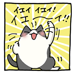 二足歩行の野良猫