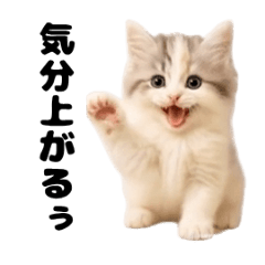 キュート!すこ猫の感情スタンプ【動く】 - LINE スタンプ | LINE STORE