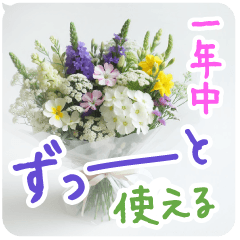 Flowers all year round for daily life 2