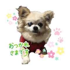 chika_20251002194229