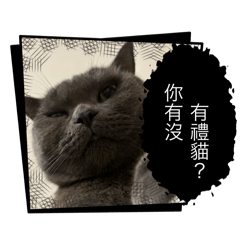 阿肉與阿仔的日常❤️