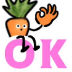 Chinese cabbage and carrot stickers