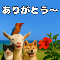 Best Friends Trio-Hibiscus Edition