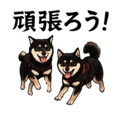 Akashi_20251002221919