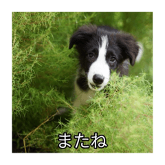 merry_20251002200310