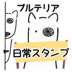 Bull Terrier Everyday Life