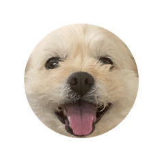 tetsu_20251002172846