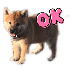 AstroH_20251002134826