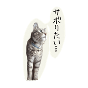 cat's  Answer  stamp