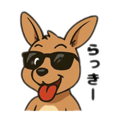 kangaroo with sunglasses