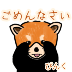 Pinku's lesser panda
