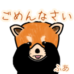 Fua's lesser panda