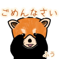 Fuu's lesser panda