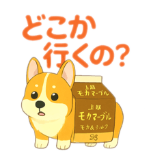 コーヒーコギーの日常〈珈琲の日〉