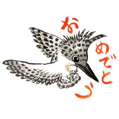 Greater pied kingfisher mountain