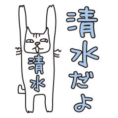 Only for Mr. Shimizu Banzai Cat