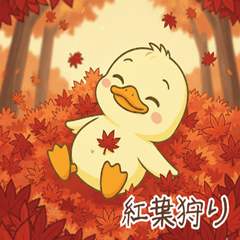 Enjoy Autumn with Piyomin